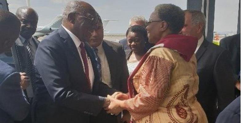 Valdés Mesa comienza visita oficial a Namibia para fortalecer&nbsp;relaciones