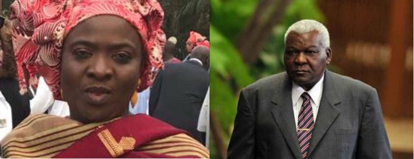 Presidenta Asamblea Nacional de Gambia aboga por fortalecer relaciones con&nbsp;Cuba